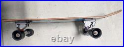 Carver x Santa Cruz SANTA CRUZ CARVER Skateboard Carver Trucks