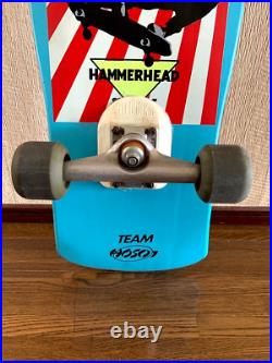 Christian Hosoi Santa Cruz Skateboard Deck Original Vintage