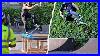 Jhanka-Gravette-Eman-U0026-Asta-Skate-At-Nhs-01-gr