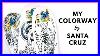 Making-Your-Own-Colorway-With-Santa-Cruz-01-wxt