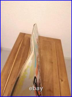 Rare SANTA CRUZ Skateboard Deck only Salba Tiger 8.6in Tiger Stencil Powerply