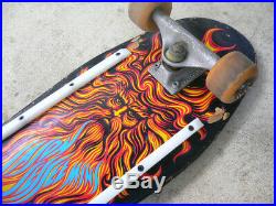 SANTA CRUZ Jason Jessee SUN GOD Complete Deck skateboard