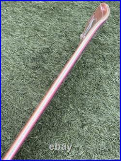 Santa Cruz 11116423 Rob Roskopp 2021 Reissue Skateboard 9.5in X 31in