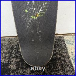 Santa Cruz Great Outdoors Everslick Skateboard Deck 8.25 Graphic Kevin Braun