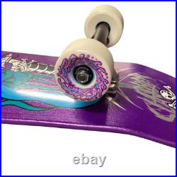 Santa Cruz Meek Pinstripe Slasher Purple 9.23 Cruiser Custom Complete Skateboard
