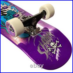 Santa Cruz Meek Pinstripe Slasher Purple 9.23 Cruiser Custom Complete Skateboard