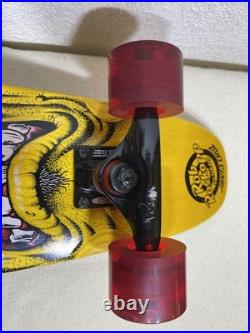Santa Cruz ROB ROSKOPP Face Mini Complete Skateboard Deck Phillips