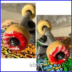 Santa Cruz Rob Roskopp Face III Complete Skateboard Used