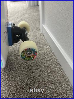 Santa Cruz Skateboard Slasher