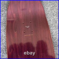 Santa Cruz Skateboards, Eric Dressen, This Is Your Future, Skateboard Deck