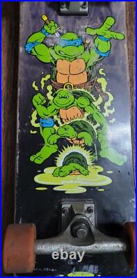 Santa Cruz X Teenage Mutant Ninja Turtles Skateboard Leonardo