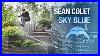Seancolet-Skyblue-01-rvr