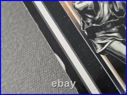 Star Wars/Santa Cruz Luke Skywalker Colab Skateboard Deck In Blister Pack WithCOA