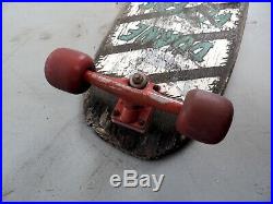 Vintage Duane Peters Santa Cruz Pro Series Complete Skateboard OG Deck