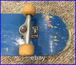 Vintage, Santa Cruz Skateboard Santa Cruz Risqué Fishnet Stocking Girl RARE+