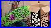 Whats-In-The-Box-65-Shop-Unboxing-Santa-Cruz-Re-Issue-Skateboard-Decks-U0026-More-Roskopp-Natas-Etc-01-ri